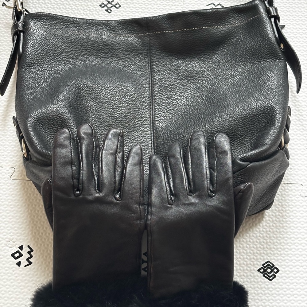 Coach Bag with Danier Leather Gloves